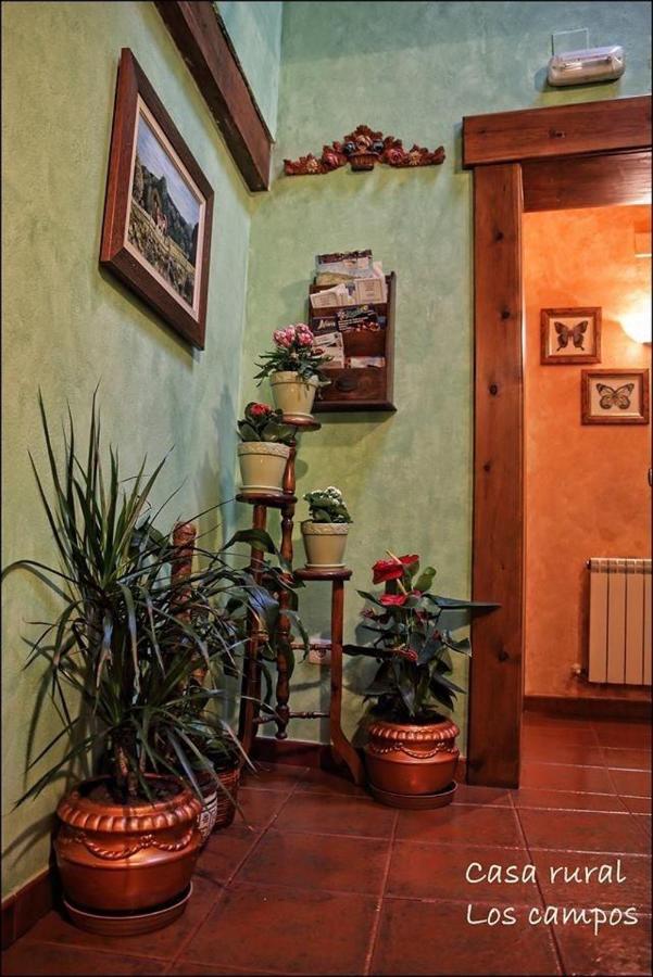Casa Rural Los Campos Corao Dış mekan fotoğraf