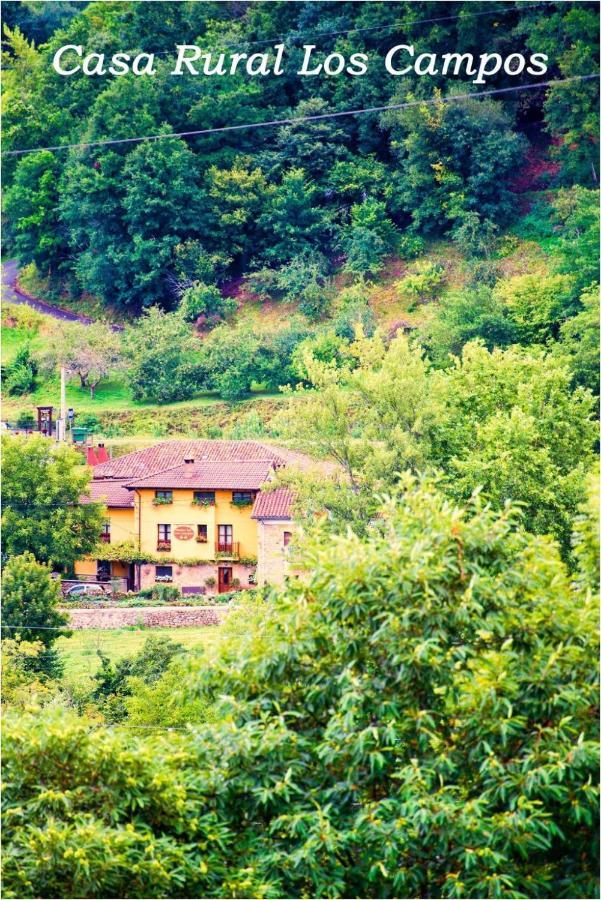 Casa Rural Los Campos Corao Dış mekan fotoğraf
