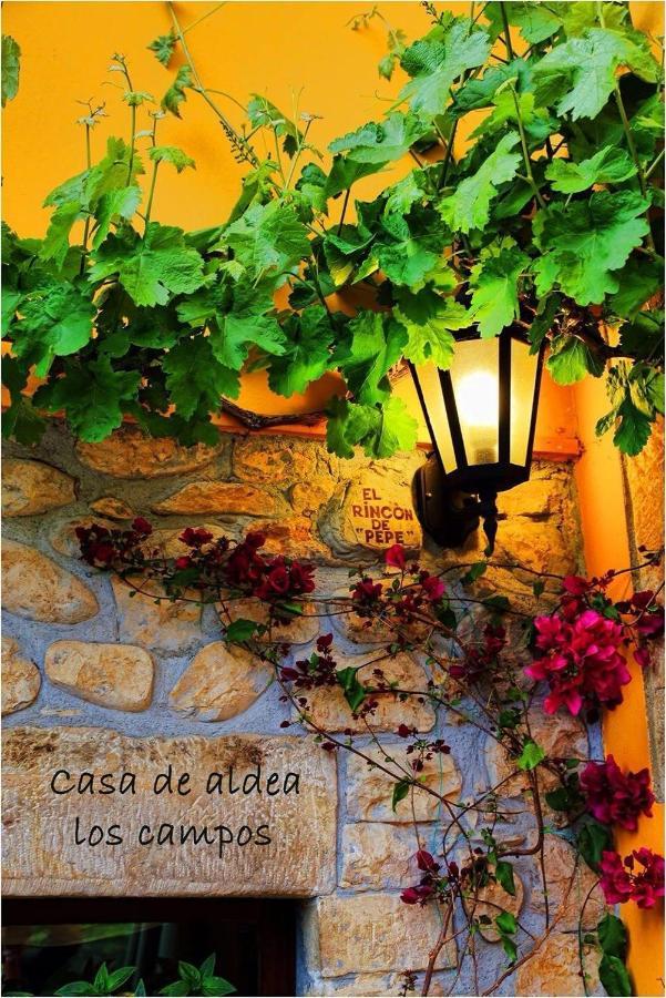 Casa Rural Los Campos Corao Dış mekan fotoğraf