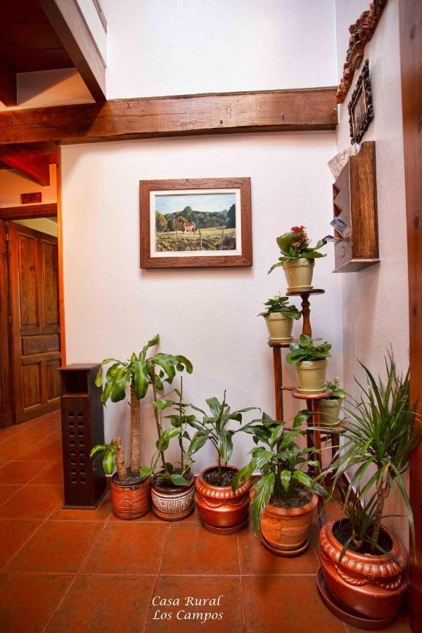 Casa Rural Los Campos Corao Dış mekan fotoğraf