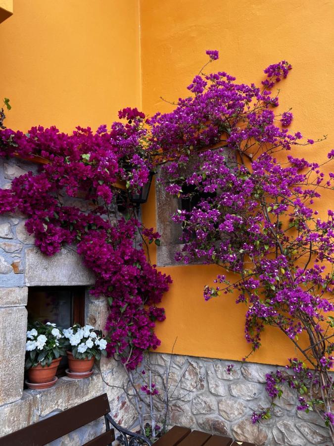 Casa Rural Los Campos Corao Dış mekan fotoğraf